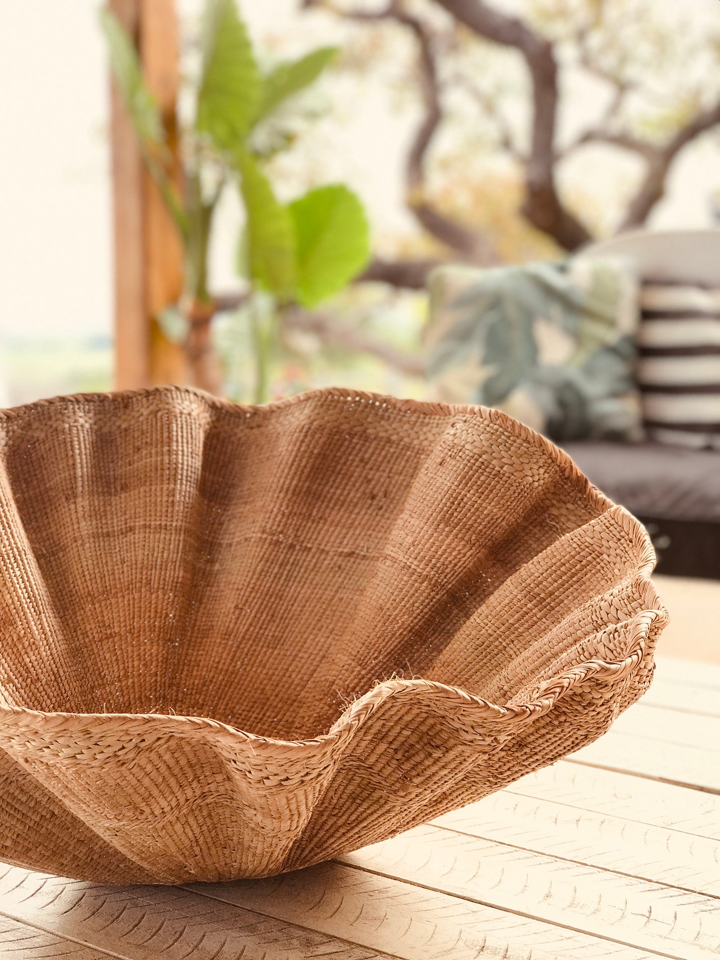Dancing Baskets