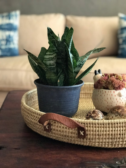 Statement Leather Handle Cane Woven Tray