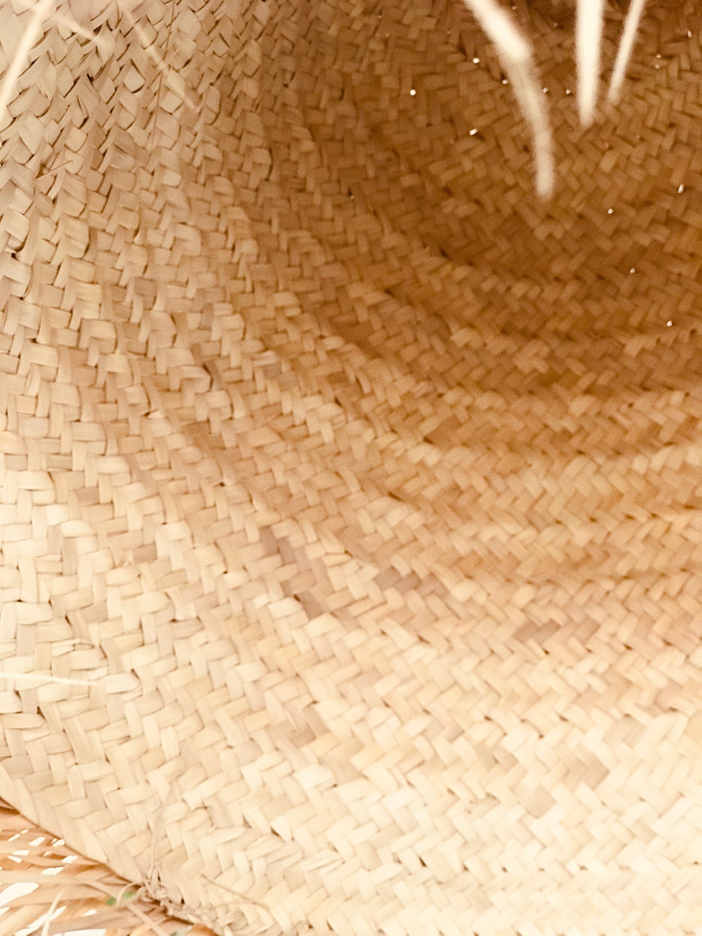Zanzibar Pendant Light