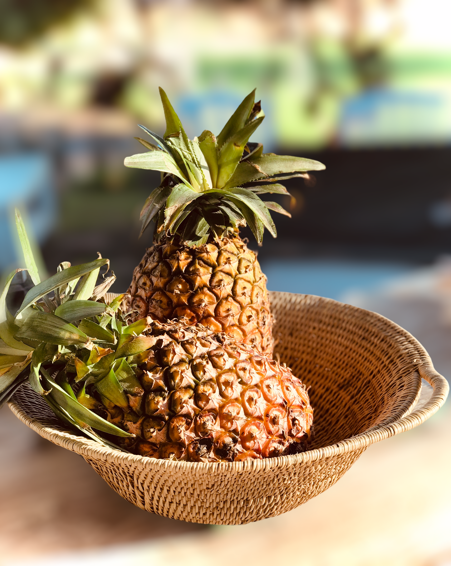 Pemba Woven Bowl