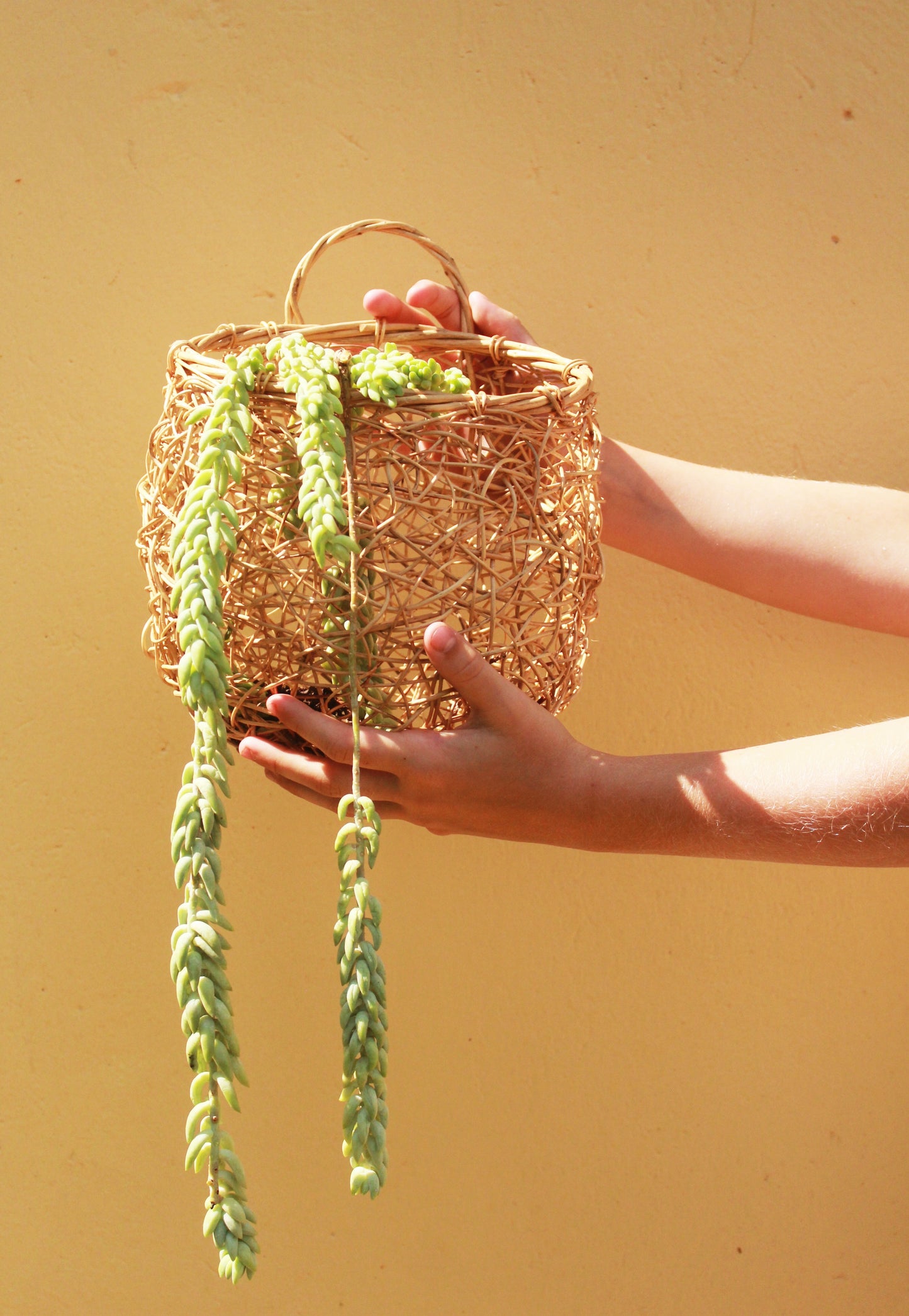 Hanging Weaver Baskets